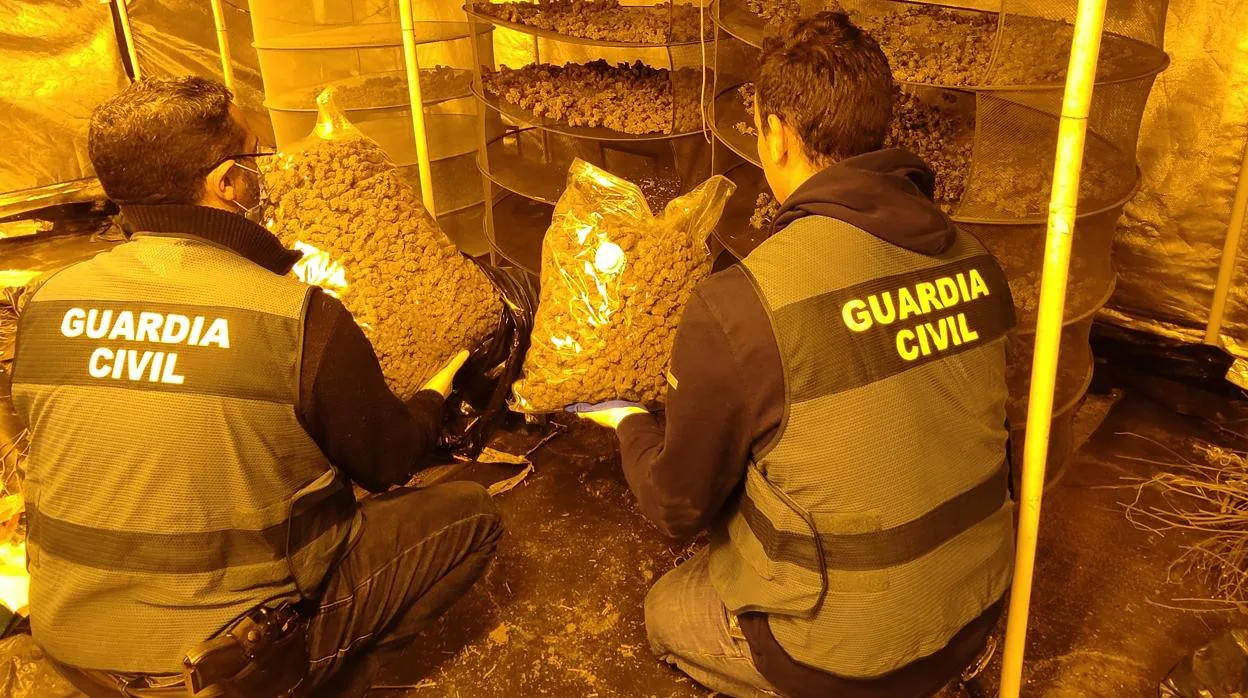 Dos investigadores de la Guardia Civil inspeccionan la droga intervenida