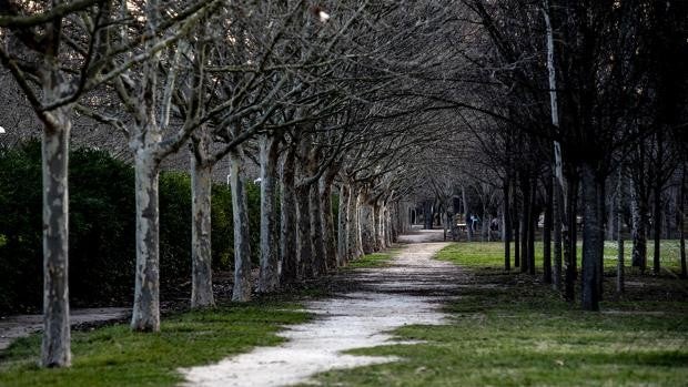 Cinco zonas de pícnic ideales para pasar el fin de semana de San Vicente Ferrer en Valencia