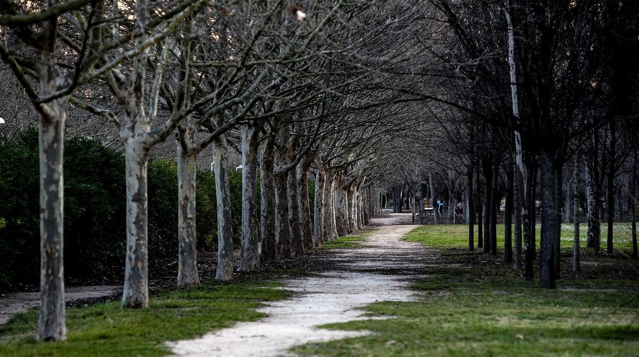 Imagen de archivo del parque de San Vicente de Llíria (Valencia)