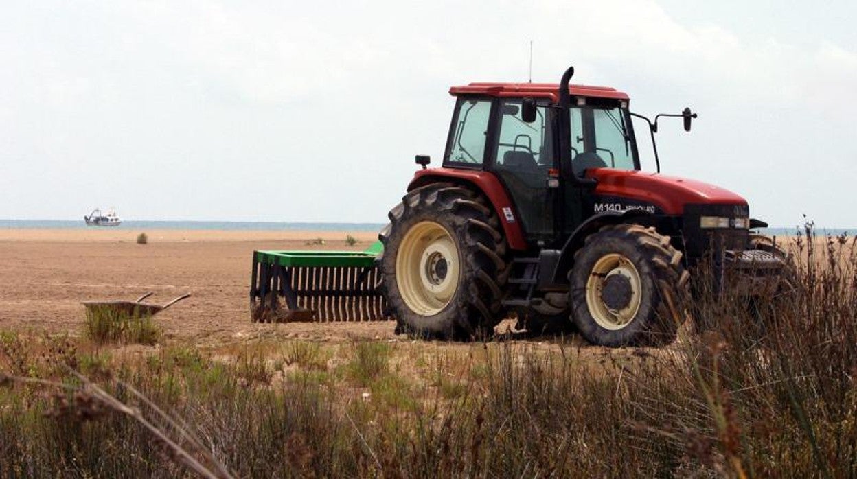 Las Terres de l'Ebre deben enfrentar retos para proteger el ecosistema y impulsar la economía