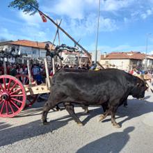 La Pingada de Mayo regresó ayer a San Leonardo de Yagüe