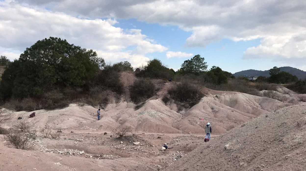 Imagen del yacimiento en Santiago de Yolomécatl (México) en el que se ha hallado un nuevo fósil de 30 millones de años