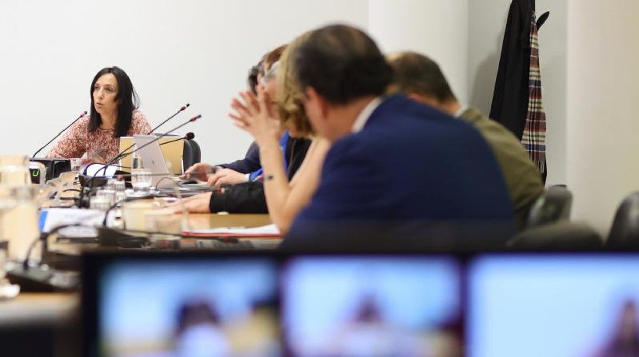 La delegada del Gobierno, Mercedes González, durante su comparecencia en la comisión