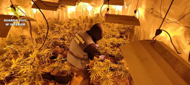 Golpe contra el tráfico de 'pescao' en Valencia: la peligrosa marihuana sintética que provoca convulsiones