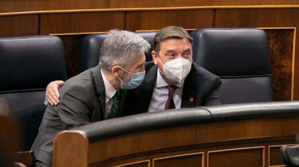 El ministro del Interior, Fernando Grande-Marlaska, y el de Agricultura, Luis Planas, en el Congreso de los Diputados