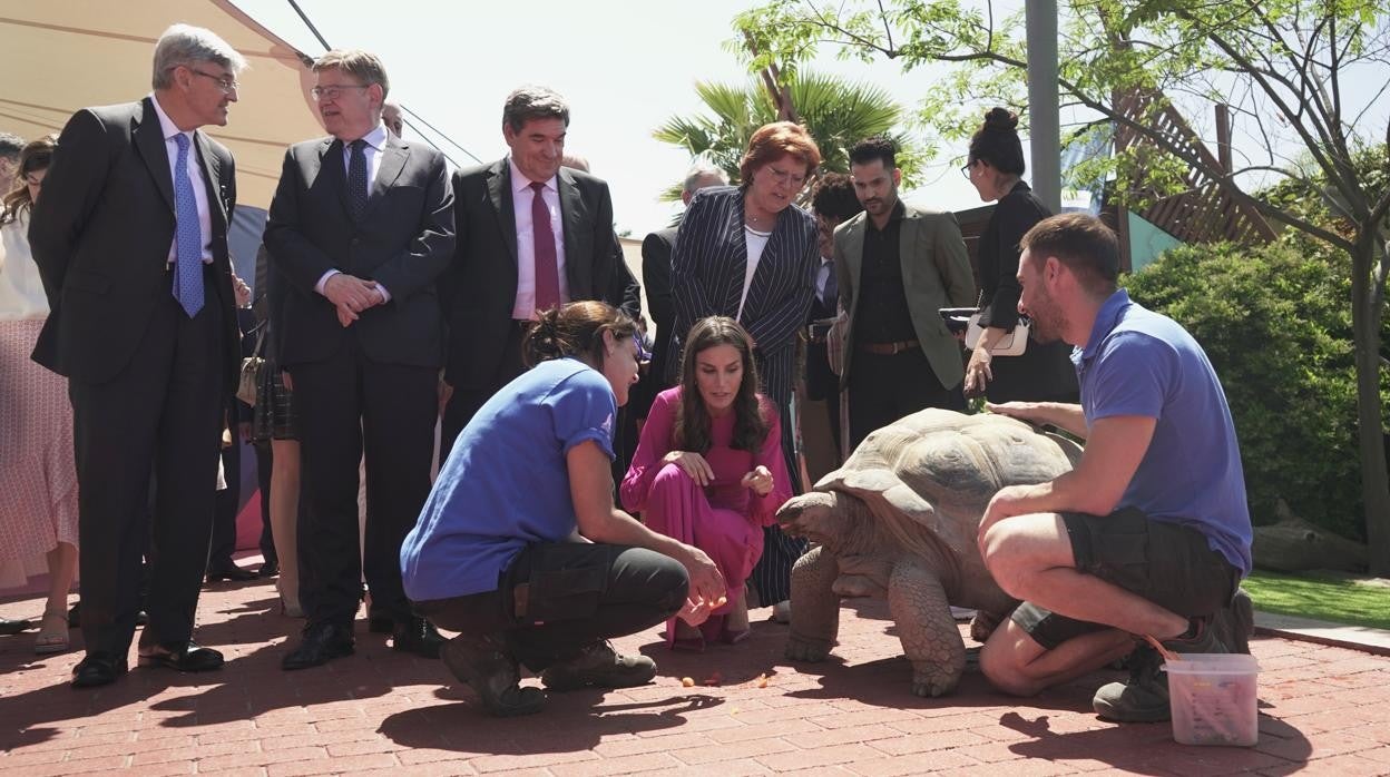 La Reina Letizia conoce a Darwin, la tortuga gigante del Oceanogràfic de Valencia