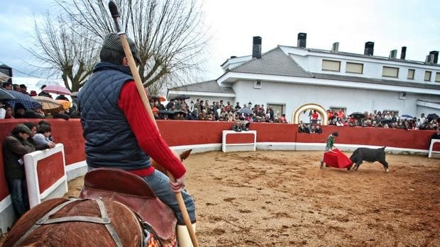 El Bolsín Taurino de Ciudad Rodrigo, Premio Tauromaquia de Castilla y León 2021