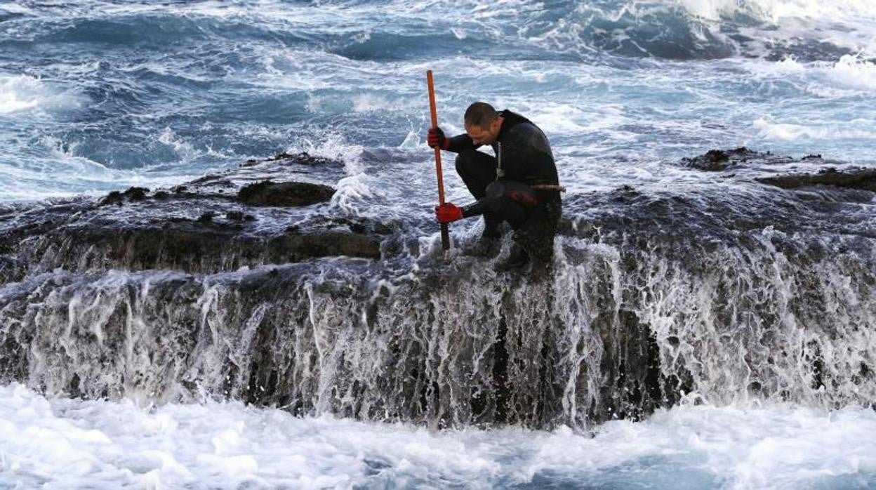 Un percebeiro faenando en la zona del Roncudo, en Corme