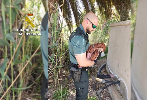 Un guardia civil sostiene el hatillo tras localizar a la criatura