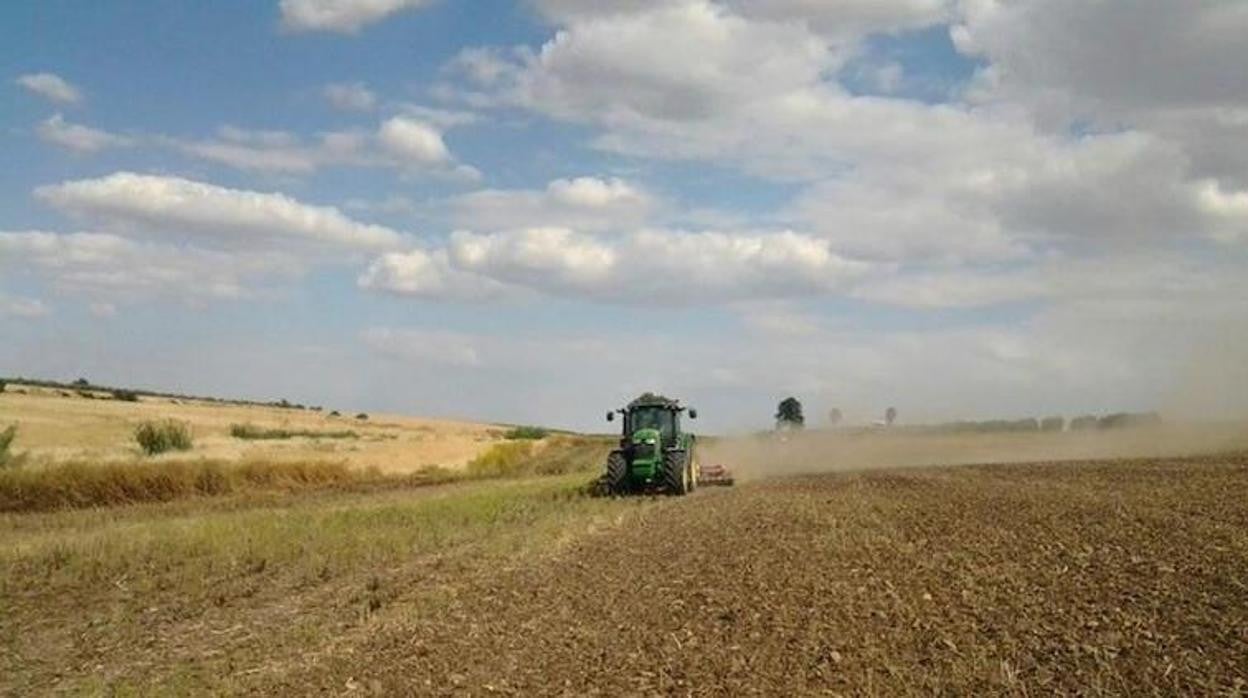 Imagen de archivo de un tractor