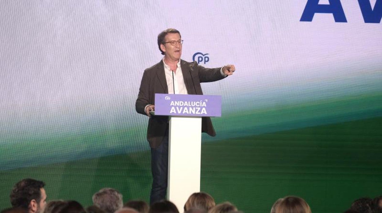 El presidente del PP, Alberto Núñez Feijóo