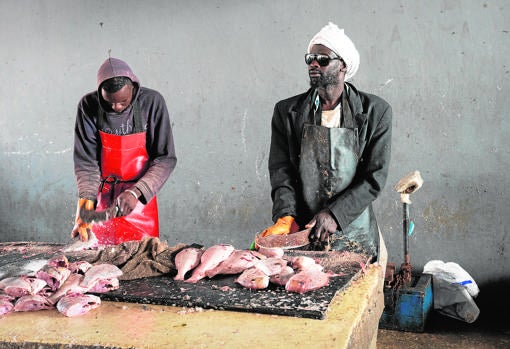 Mauritania es uno de los caladeros de pesaca más importantes para los barcos españoles fuera de la UE. En la imagen, dos hombres limpiando pescado