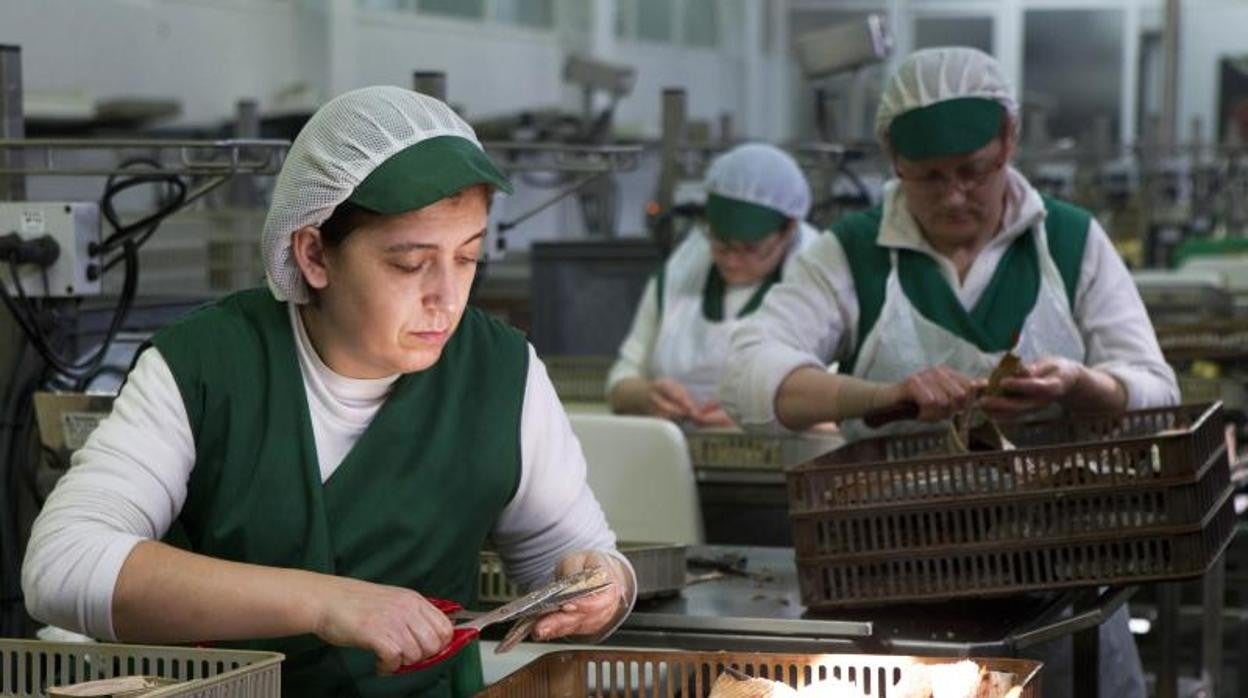 Trabajadoras en una conservera de Boiro