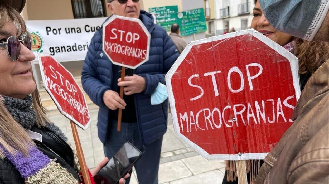 Manifestación contra las macrogranjas en Barajas de Melo (Cuenca)