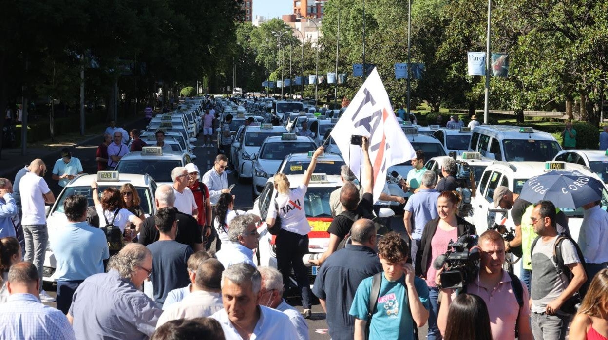 Los taxistas cortan carriles del paseo del Prado, entre Neptuno y Cibeles