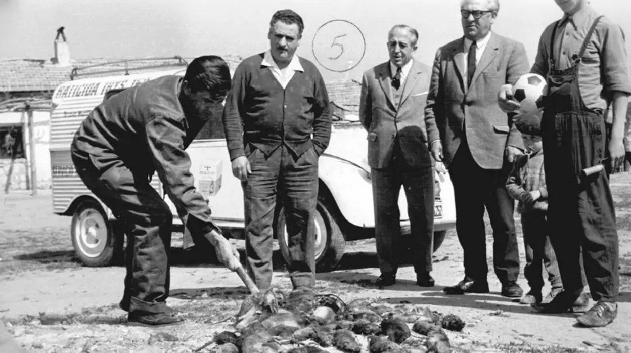 Resultados de un plan de desratización