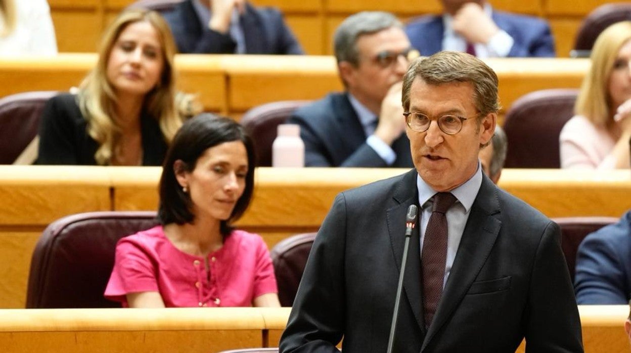 El presidente del PP, Alberto Núñez Feijóo, en el Senado