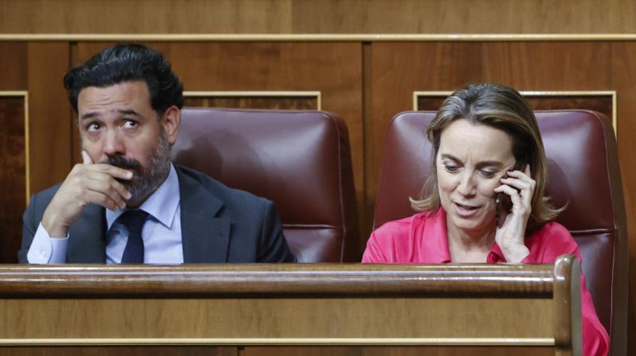 La portavoz del Grupo Popular, Cuca Gamarra, junto a Guillermo Mariscal, en el Pleno del Congreso