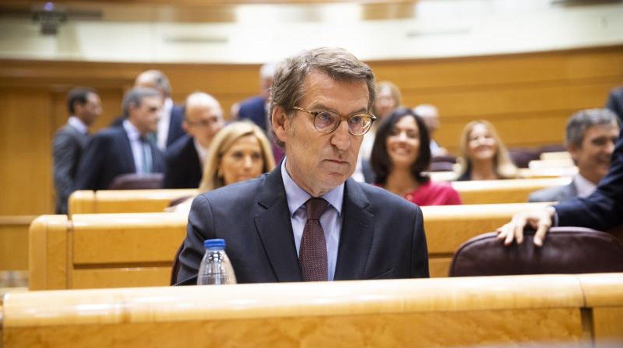 El presidente del PP, Alberto Núñez Feijóo, en su escaño del Senado