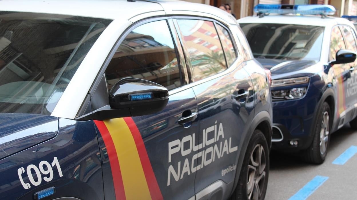 Imagen de recurso de varios coches patrulla de la Policía Nacional