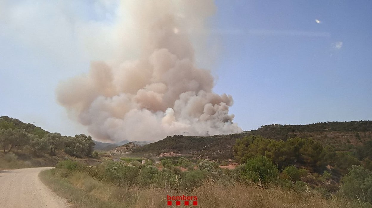 Incendio forestal en Corbera d'Ebre