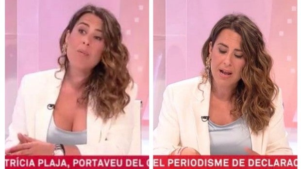 TV3 censura el escote de la portavoz de la Generalitat durante una entrevista