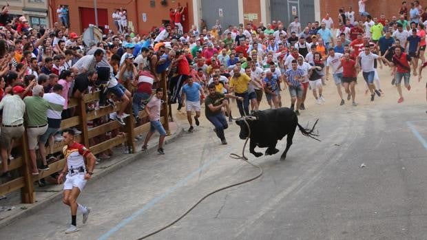 El Toro Enmaromado vuelve a correr por las calles de Benavente