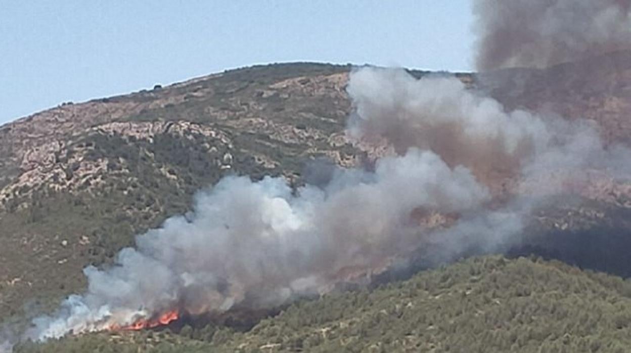 Incendio en Artesa de Segre (Lérida)