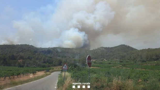 Un incendio en Olivella, un paraje natural protegido de Barcelona, confina dos urbanizaciones