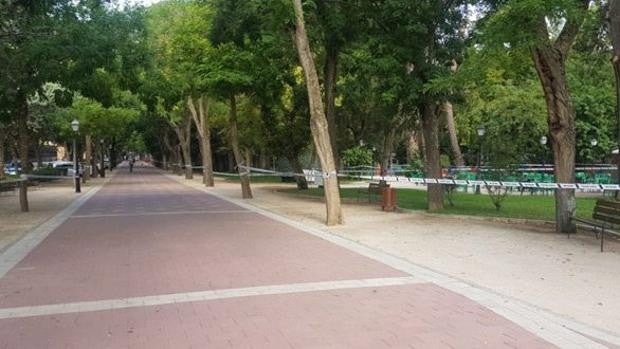 Una mujer herida y caídas de árboles en distintos parques de Guadalajara tras una fuerte tormenta