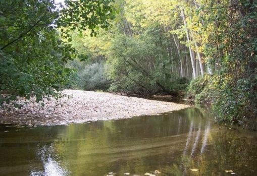 El río Alberche.