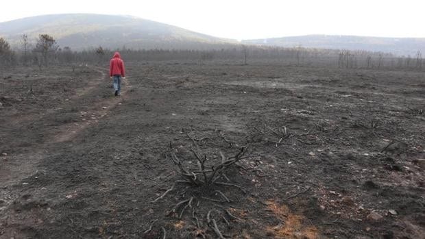 La Junta destina 35 millones para la recuperación de la zona afectada por el incendio de la Sierra de la Culebra