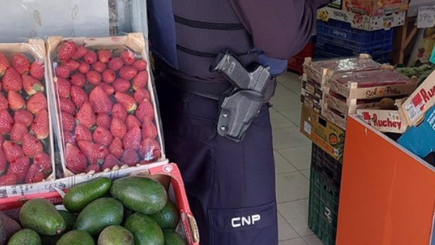 Arrestan a 32 personas e investigan a otras 49 por robar 518 toneladas de fruta y verdura en campos valencianos