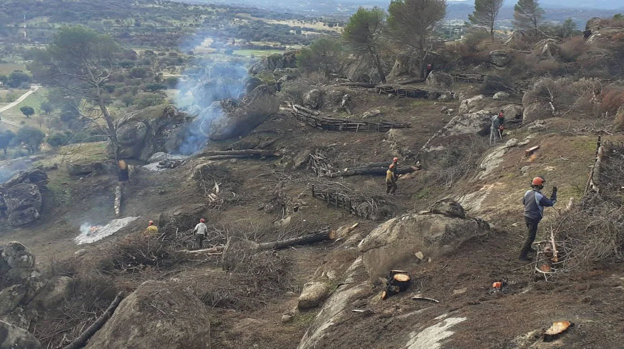 Operarios trabajando en los terrenos afectados por el incendio