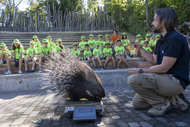 Comienza la escuela de vacaciones «Expedición África» de Bioparc Valencia