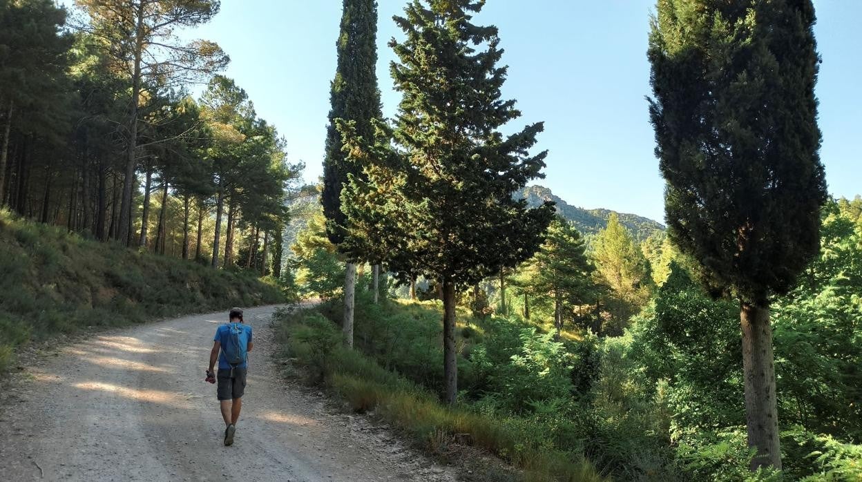 Imagen tomada en la ruta del nacimiento del río Palancia (Castellón)