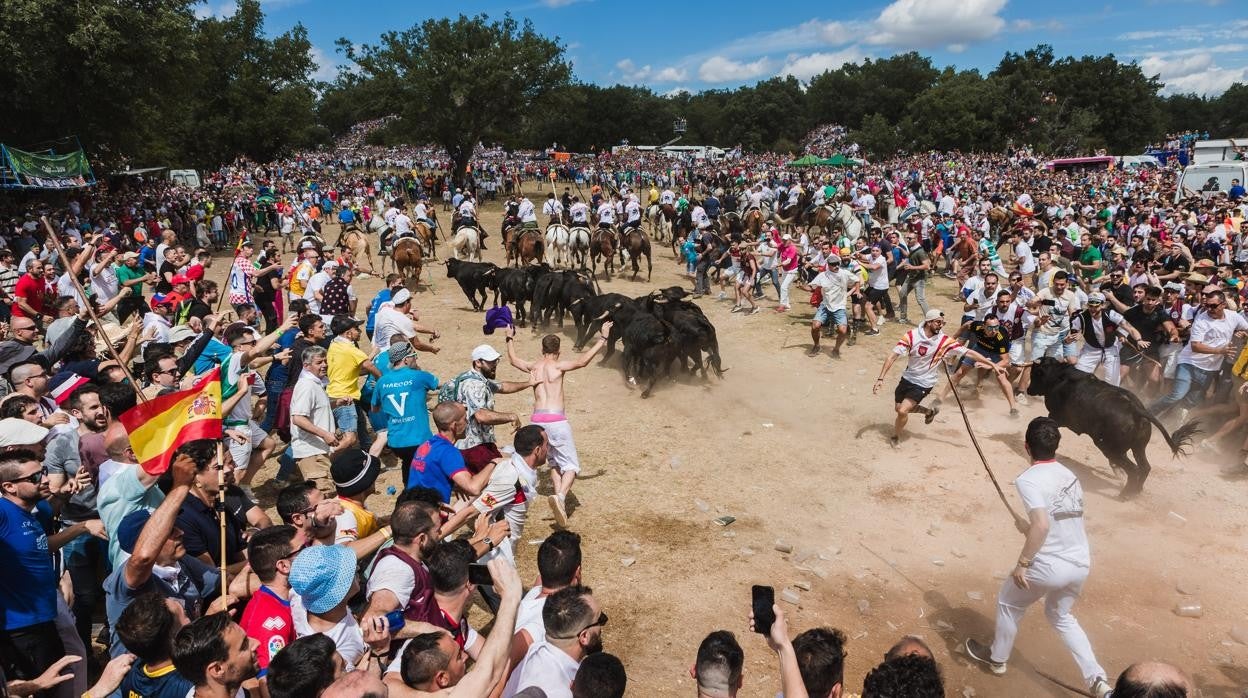 Celebración del Jueves La Saca en Soria dentro de las fiestas de San Juan