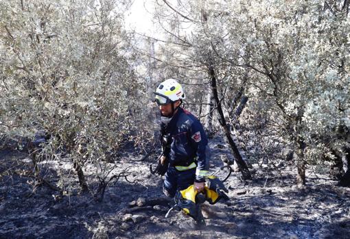 Un bombero, en el terreno arrasado por las llamas, hace tres años