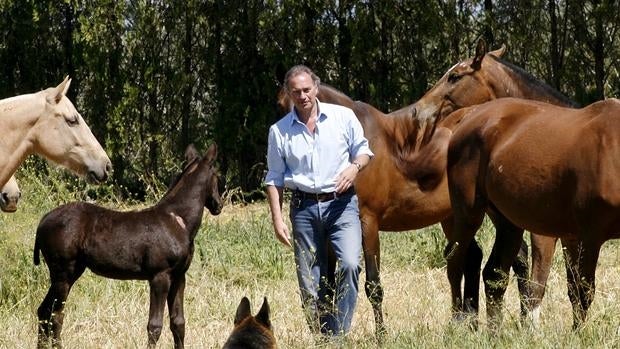 Bertín Osborne paraliza la venta de su cortijo sevillano tras el éxito de su programa