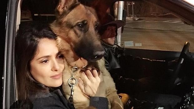 La policía asegura que el vecino de Salma Hayek tenía derecho a disparar a su perro