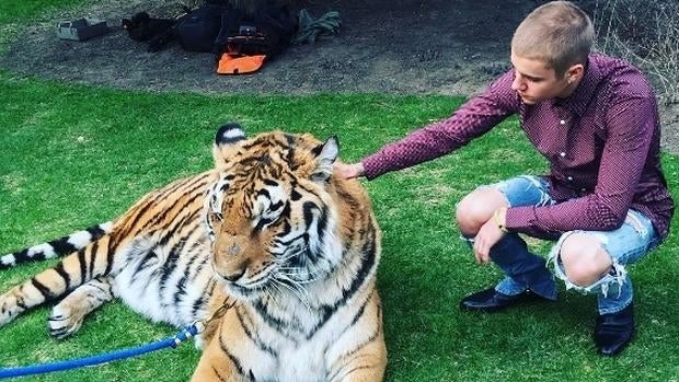 Justin Bieber pone en peligro su vida y enfada a las protectoras de animales