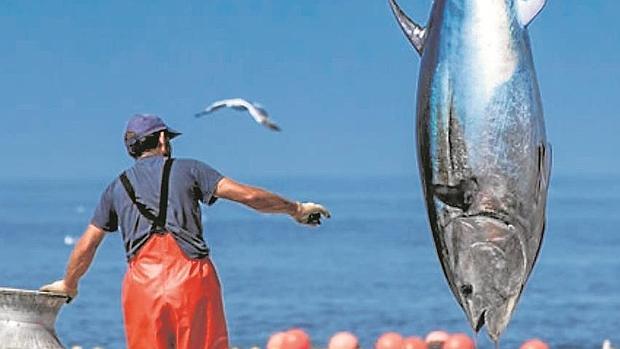 La BBC auténtica se fija en la gastronomía de la provincia de Cádiz