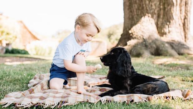 El príncipe George junto a su perro Lupo