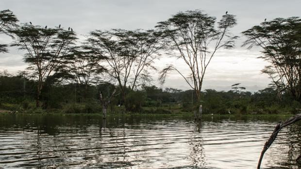 Por qué tardas (solo) tres días en enamorarte de África