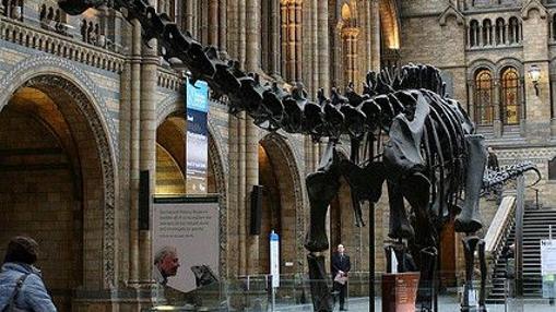 Imagen del Museo de Historia Natural de Londres