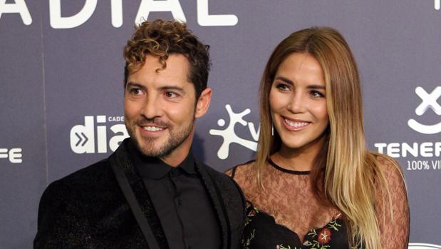 Bisbal y Rossana Zanetti formalizan su relación: ya son pareja de hecho