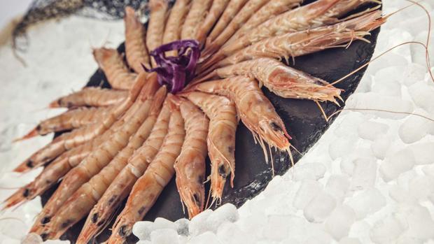 Cervecería Santa Lucía