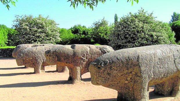 Testigos de la historia