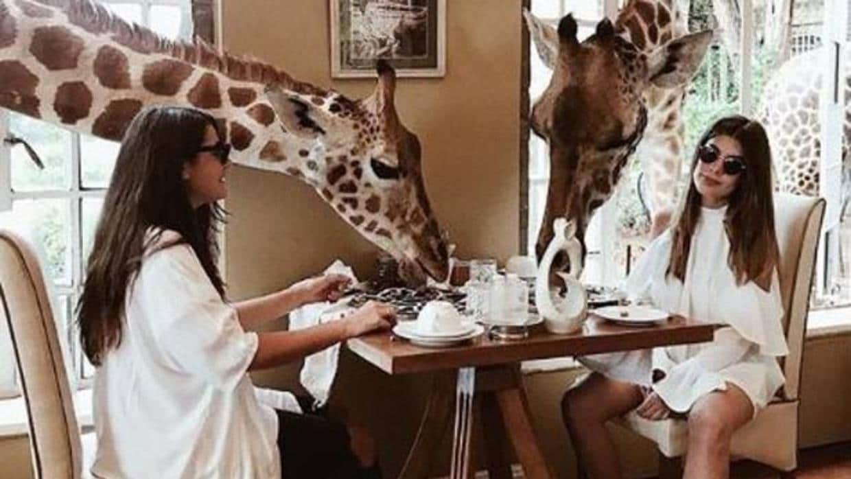 Piscina privada y desayuno con jirafas: así es el hotel de 650€ la noche en el que se aloja Dulceida