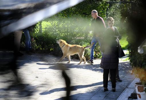 Uno de los perros de Sandra saliendo de la vivienda